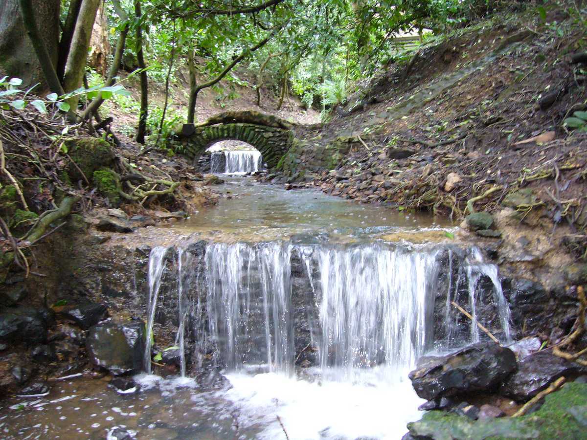 Rustic Bridge and Waterfalls
